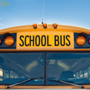 bus bus
